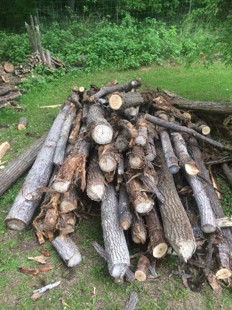 “A load of poplar logs to a MF3000e owner, she likes the exercise of